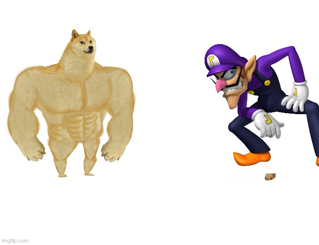 waluigi about to get beat up by buff doge | image tagged in memes,buff doge vs cheems | made w/ Imgflip meme maker
