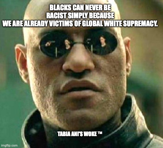 Victims | BLACKS CAN NEVER BE RACIST SIMPLY BECAUSE WE ARE ALREADY VICTIMS OF GLOBAL WHITE SUPREMACY. TABIA ANI'S WOKE ™ | image tagged in racism | made w/ Imgflip meme maker