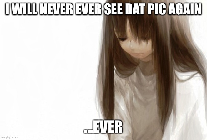 SAD anime girl template | I WILL NEVER EVER SEE DAT PIC AGAIN ...EVER | image tagged in sad anime girl template | made w/ Imgflip meme maker
