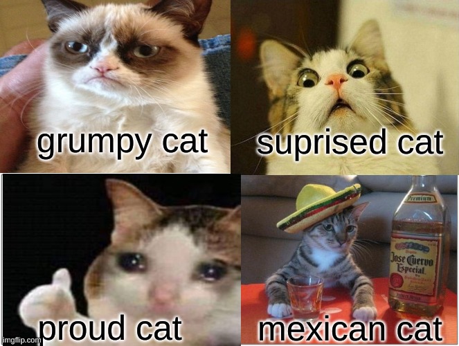 The cats | grumpy cat; suprised cat; proud cat; mexican cat | image tagged in grumpy cat,scared cat,crying cat | made w/ Imgflip meme maker