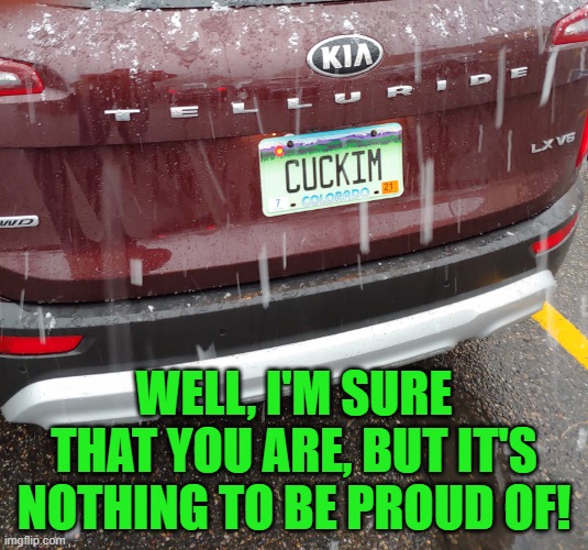 Cucks unite! | WELL, I'M SURE THAT YOU ARE, BUT IT'S NOTHING TO BE PROUD OF! | image tagged in cuck | made w/ Imgflip meme maker
