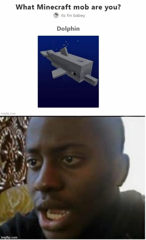 https://www.quotev.com/quiz/13181851/What-Minecraft-mob-are-you | image tagged in disappointed black guy | made w/ Imgflip meme maker