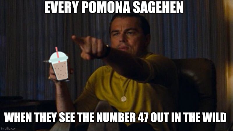 EVERY POMONA SAGEHEN; WHEN THEY SEE THE NUMBER 47 OUT IN THE WILD | image tagged in leonardo dicaprio,hollywood | made w/ Imgflip meme maker