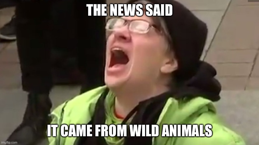 Screaming Liberal  | THE NEWS SAID IT CAME FROM WILD ANIMALS | image tagged in screaming liberal | made w/ Imgflip meme maker