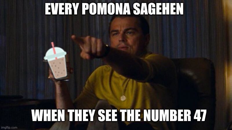 Pomona Sagehen 47 | EVERY POMONA SAGEHEN; WHEN THEY SEE THE NUMBER 47 | image tagged in leonardo dicaprio pointing | made w/ Imgflip meme maker