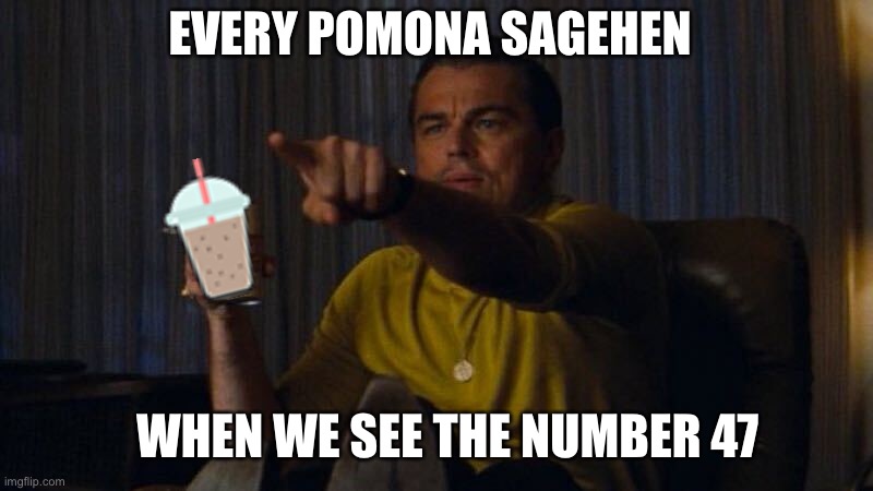 Pomona Sagehens 47 | EVERY POMONA SAGEHEN; WHEN WE SEE THE NUMBER 47 | image tagged in leonardo dicaprio pointing | made w/ Imgflip meme maker