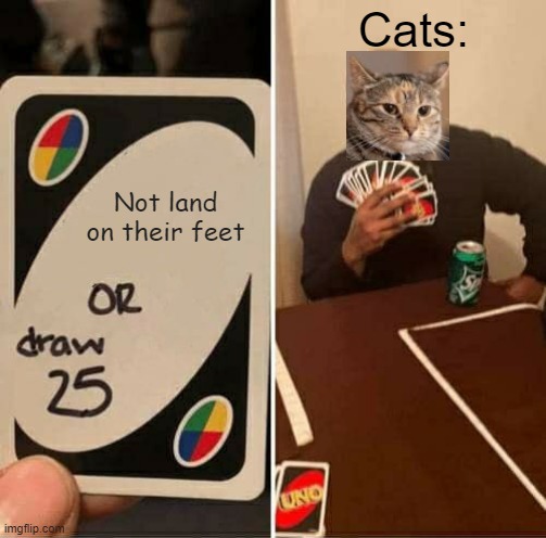 Cats always land on their feet | Cats:; Not land on their feet | image tagged in memes,uno draw 25 cards,funny memes,eggs-dee,cats,so true memes | made w/ Imgflip meme maker