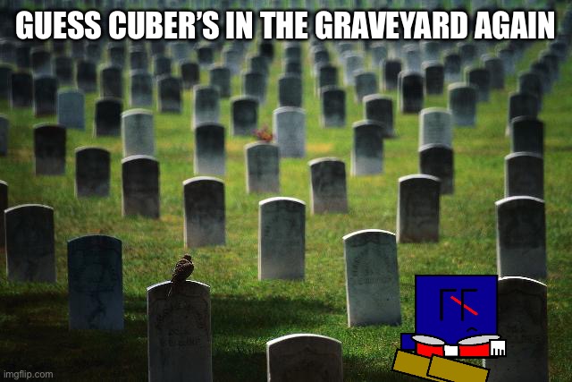 He heard what happened to his childhood crush | GUESS CUBER’S IN THE GRAVEYARD AGAIN | image tagged in graveyard cemetary | made w/ Imgflip meme maker