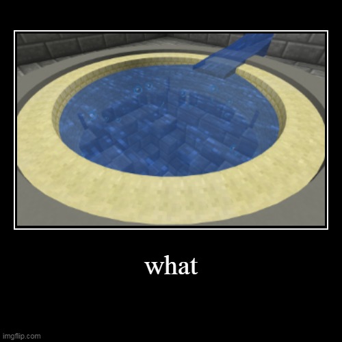 what the heck? | image tagged in funny,demotivationals,minecraft | made w/ Imgflip demotivational maker