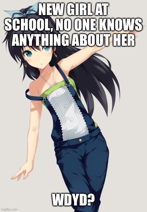 NEW GIRL AT SCHOOL, NO ONE KNOWS ANYTHING ABOUT HER; WDYD? | made w/ Imgflip meme maker