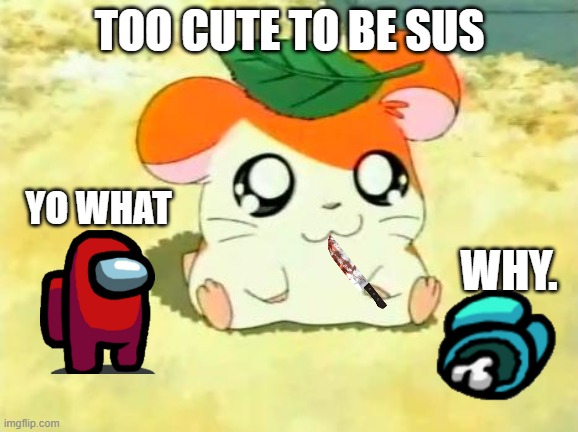 Too cute to be sus, hamtaro. |  TOO CUTE TO BE SUS; YO WHAT; WHY. | image tagged in memes,hamtaro | made w/ Imgflip meme maker