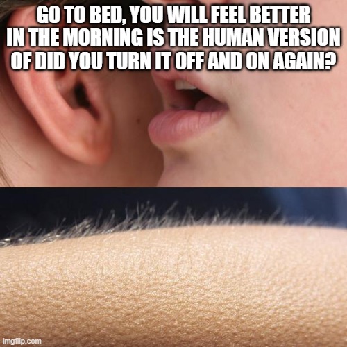 holy wtf | GO TO BED, YOU WILL FEEL BETTER IN THE MORNING IS THE HUMAN VERSION OF DID YOU TURN IT OFF AND ON AGAIN? | image tagged in whisper and goosebumps | made w/ Imgflip meme maker