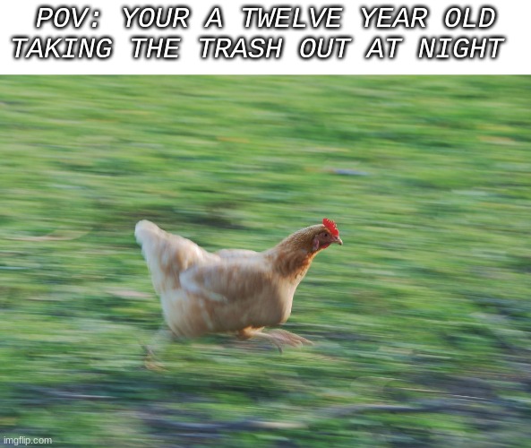 Running Chicken | POV: YOUR A TWELVE YEAR OLD TAKING THE TRASH OUT AT NIGHT | image tagged in running chicken | made w/ Imgflip meme maker