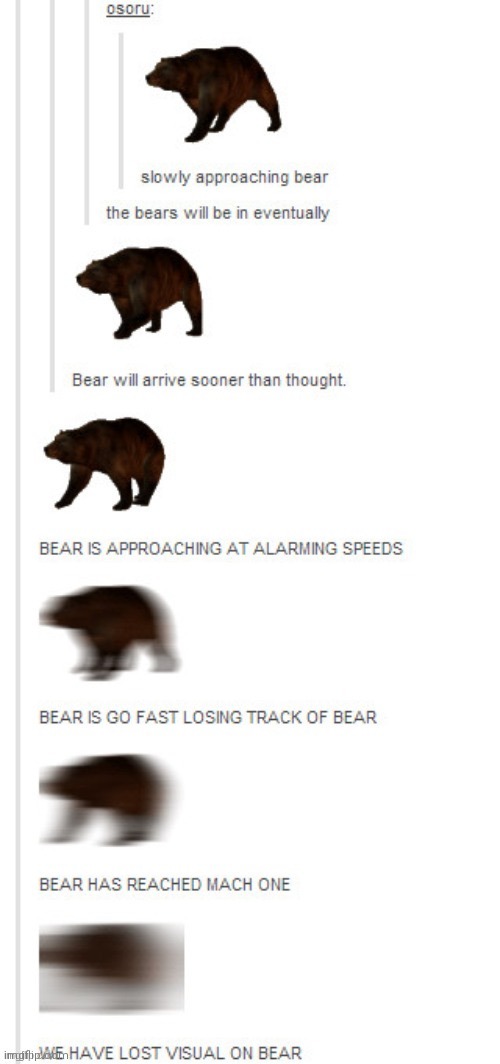 Slowly Approaching Bear | image tagged in slowly approaching bear | made w/ Imgflip meme maker