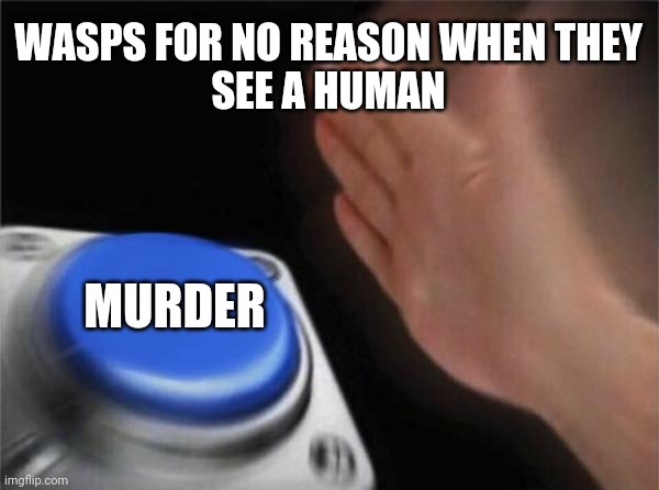 Blank Nut Button Meme | WASPS FOR NO REASON WHEN THEY
SEE A HUMAN; MURDER | image tagged in memes,blank nut button | made w/ Imgflip meme maker