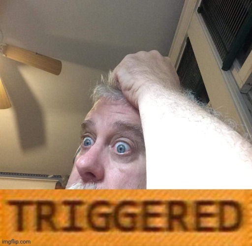Triggered | image tagged in funny memes | made w/ Imgflip meme maker