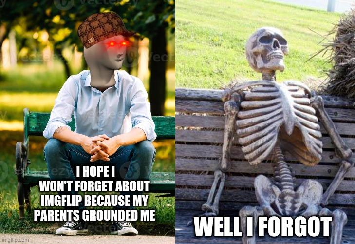 J.K | I HOPE I WON'T FORGET ABOUT IMGFLIP BECAUSE MY PARENTS GROUNDED ME; WELL I FORGOT | image tagged in memes,waiting skeleton,funny memes | made w/ Imgflip meme maker