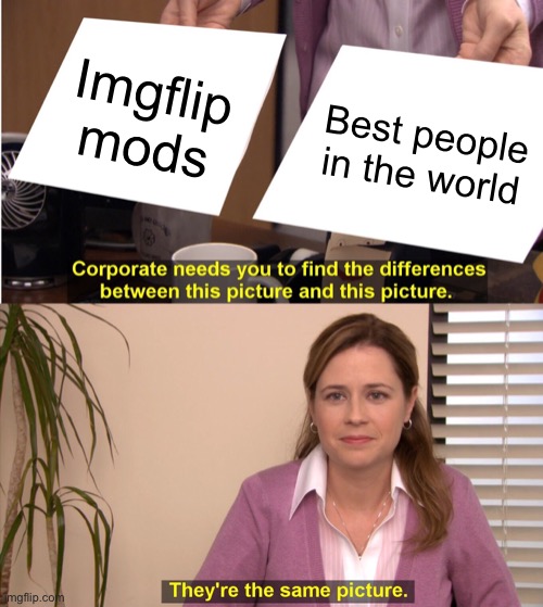 they are indeed the same picture | Imgflip mods; Best people in the world | image tagged in memes,they're the same picture | made w/ Imgflip meme maker