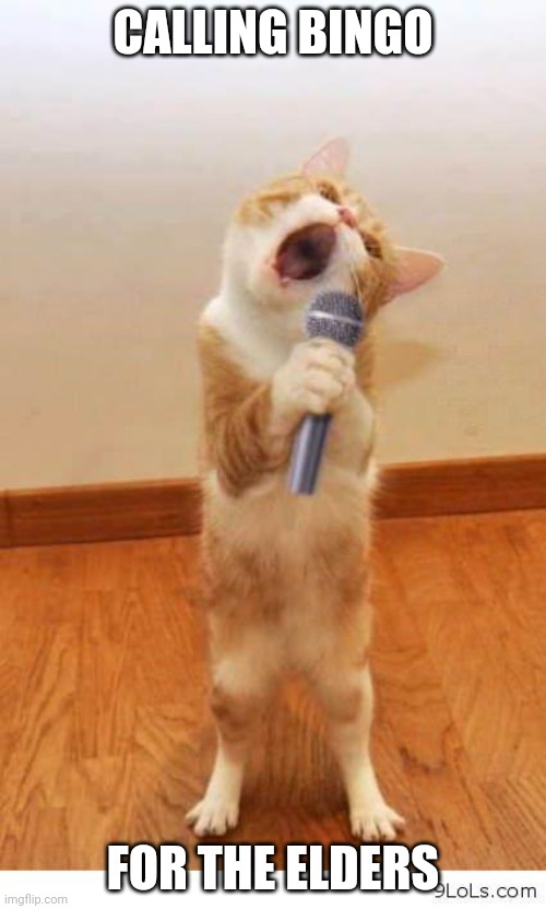 Cat Singer | CALLING BINGO; FOR THE ELDERS | image tagged in cat singer | made w/ Imgflip meme maker