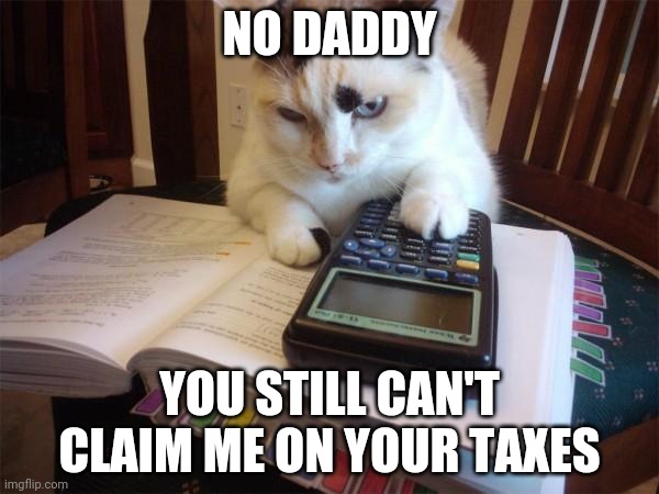 Math cat |  NO DADDY; YOU STILL CAN'T CLAIM ME ON YOUR TAXES | image tagged in math cat | made w/ Imgflip meme maker