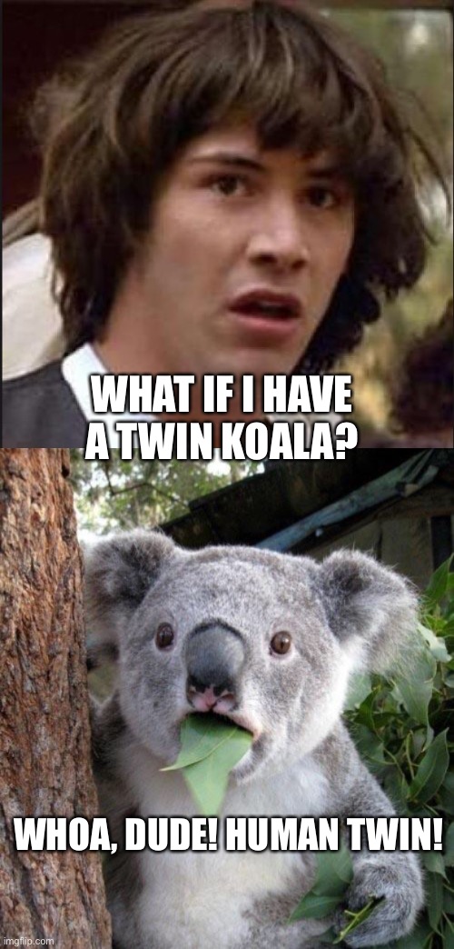 Keanu Koala Twin | WHAT IF I HAVE A TWIN KOALA? WHOA, DUDE! HUMAN TWIN! | image tagged in keanu reeves,suprised koala | made w/ Imgflip meme maker