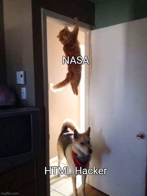 Jumping Cat and Dog | NASA; HTML Hacker | image tagged in jumping cat and dog | made w/ Imgflip meme maker