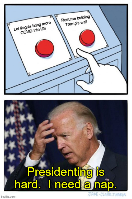 The news is reporting that Biden might resume building Trump's wall.  That should make Dems all warm and fuzzy inside. | Presidenting is hard.  I need a nap. | image tagged in border wall,covid-19,flood of illegals | made w/ Imgflip meme maker