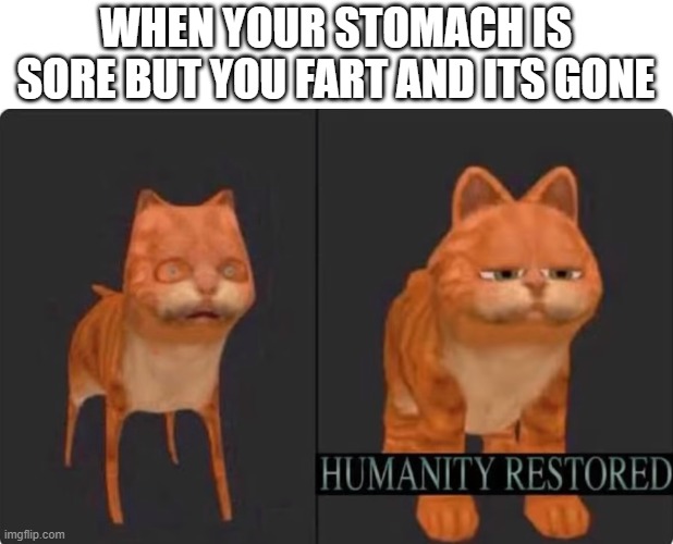 relate? | WHEN YOUR STOMACH IS SORE BUT YOU FART AND ITS GONE | image tagged in humanity restored | made w/ Imgflip meme maker