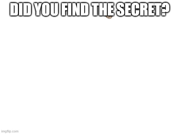 Did you find it? | DID YOU FIND THE SECRET? | image tagged in blank white template | made w/ Imgflip meme maker