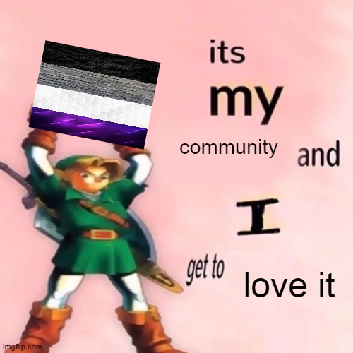 I'm actually starting to question what type of ace I am (again)... | community; love it | image tagged in it's my ___ and i get to ____,lgbtq,asexual,ace,the legend of zelda | made w/ Imgflip meme maker