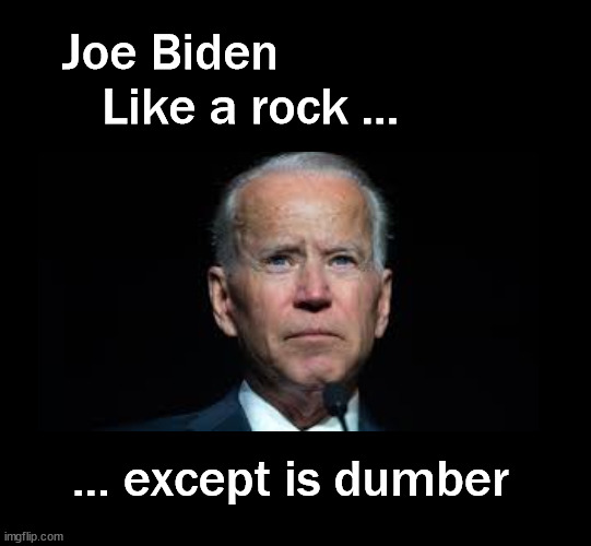 Joe Biden, like a rock | Joe Biden
   Like a rock ... ... except is dumber | image tagged in biden,politics | made w/ Imgflip meme maker