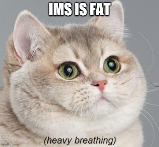 ims is fat | IMS IS FAT | image tagged in memes,heavy breathing cat | made w/ Imgflip meme maker