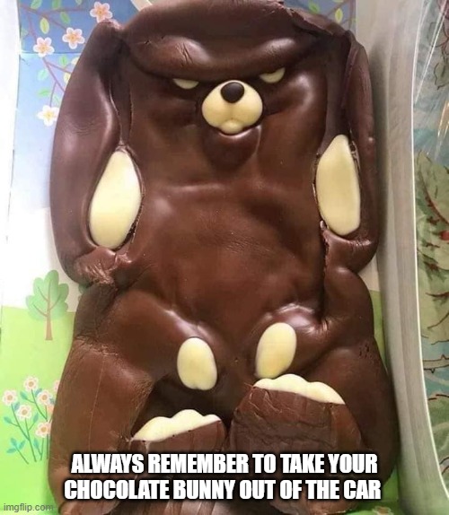 Always remember to take your chocolate bunny out of the car | ALWAYS REMEMBER TO TAKE YOUR CHOCOLATE BUNNY OUT OF THE CAR | image tagged in easter,easter bunny | made w/ Imgflip meme maker