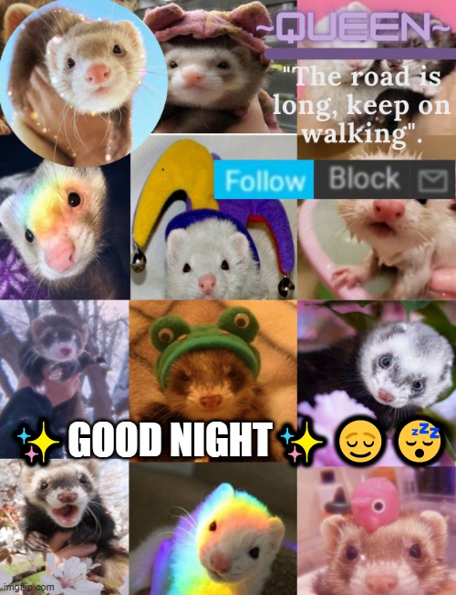 2nd ferret temp- | ✨GOOD NIGHT✨😌😴 | image tagged in 2nd ferret temp- | made w/ Imgflip meme maker