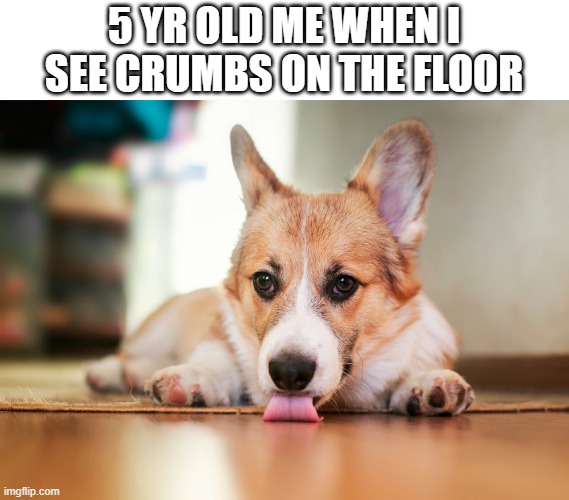 relatable anyone? | 5 YR OLD ME WHEN I SEE CRUMBS ON THE FLOOR | image tagged in relatable,memes | made w/ Imgflip meme maker