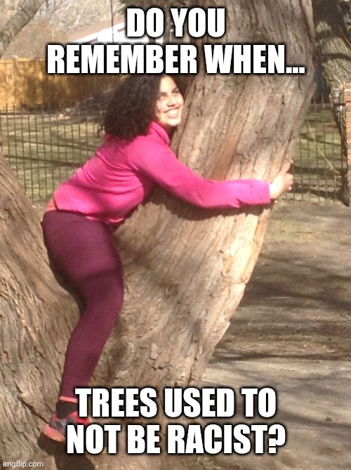 "Trees are now racist". This from Portland, Oregon Public Schools...Where's Al Gore on this? | DO YOU REMEMBER WHEN... TREES USED TO NOT BE RACIST? | image tagged in tree hugs,trees,racist | made w/ Imgflip meme maker
