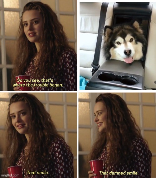 That Damn Smile | image tagged in that damn smile | made w/ Imgflip meme maker