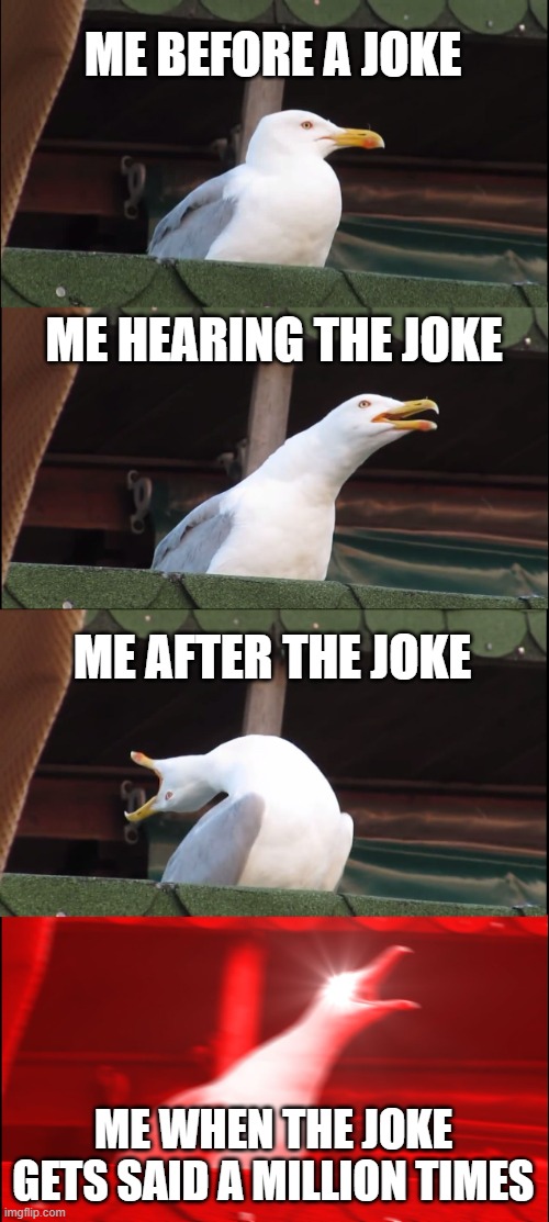 funny joke | ME BEFORE A JOKE; ME HEARING THE JOKE; ME AFTER THE JOKE; ME WHEN THE JOKE GETS SAID A MILLION TIMES | image tagged in memes,inhaling seagull | made w/ Imgflip meme maker