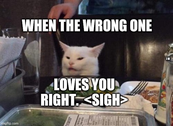 Salad cat | WHEN THE WRONG ONE; J M; LOVES YOU RIGHT.  <SIGH> | image tagged in salad cat | made w/ Imgflip meme maker