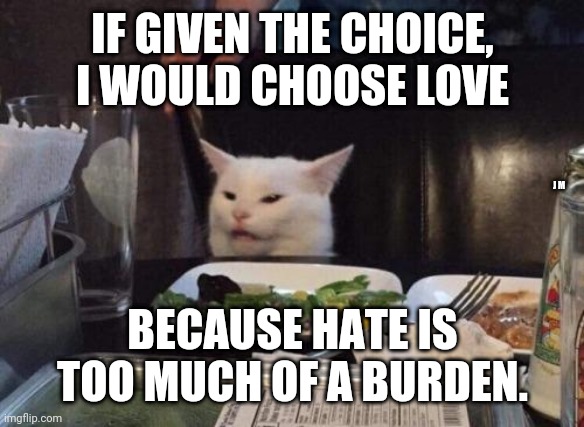 Salad cat | IF GIVEN THE CHOICE, I WOULD CHOOSE LOVE; J M; BECAUSE HATE IS TOO MUCH OF A BURDEN. | image tagged in salad cat | made w/ Imgflip meme maker