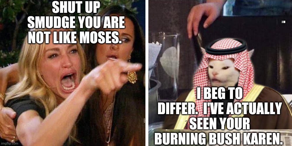 Smudge the cat | SHUT UP SMUDGE YOU ARE NOT LIKE MOSES. J M; I BEG TO DIFFER.  I'VE ACTUALLY SEEN YOUR BURNING BUSH KAREN. | image tagged in smudge the cat | made w/ Imgflip meme maker