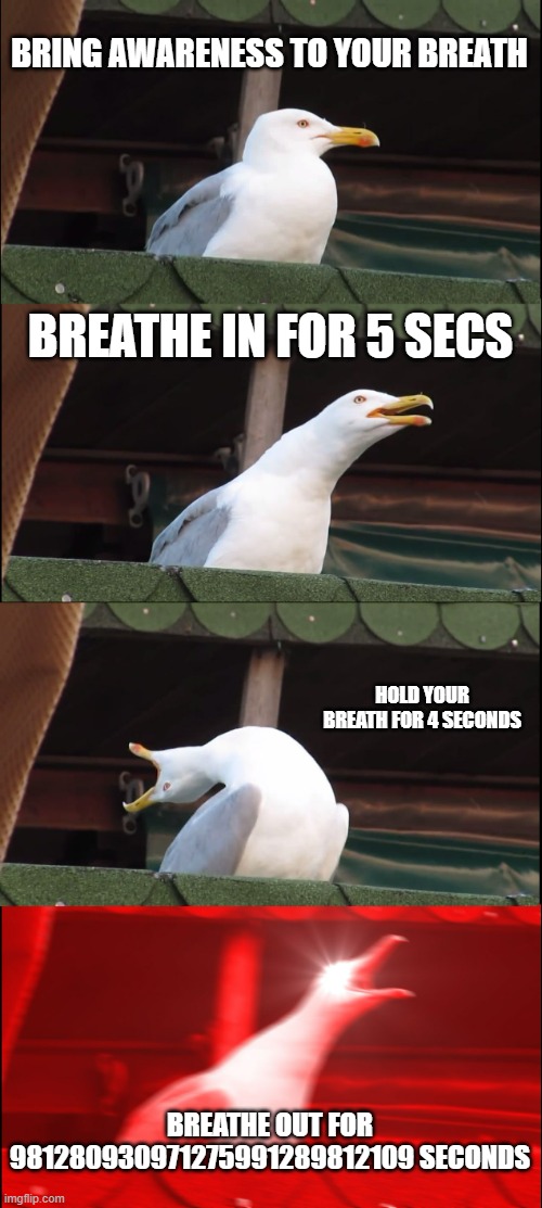breathing exercises be like: | BRING AWARENESS TO YOUR BREATH; BREATHE IN FOR 5 SECS; HOLD YOUR BREATH FOR 4 SECONDS; BREATHE OUT FOR 981280930971275991289812109 SECONDS | image tagged in memes,inhaling seagull | made w/ Imgflip meme maker