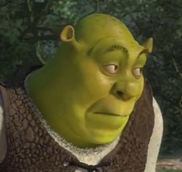 Suspicious Shrek face Blank Meme Template