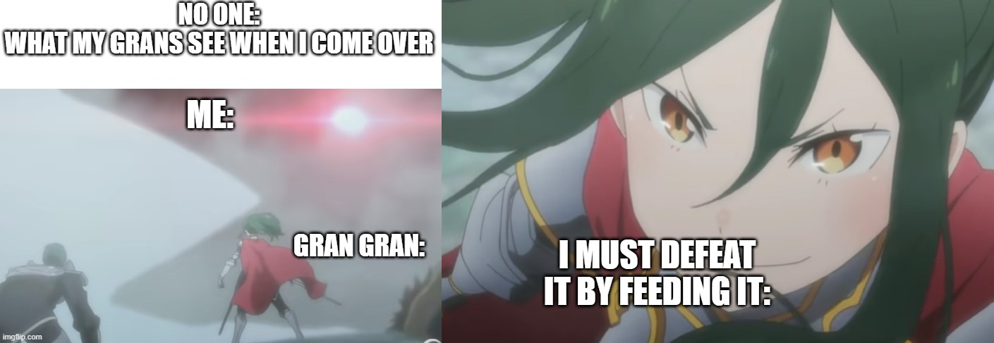 gran gran | NO ONE:
WHAT MY GRANS SEE WHEN I COME OVER; ME:; GRAN GRAN:; I MUST DEFEAT IT BY FEEDING IT: | image tagged in grandma,anime meme,rezero | made w/ Imgflip meme maker
