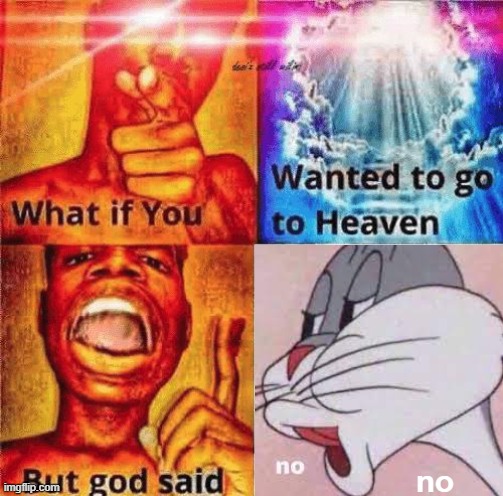 What if you wanted to go to heaven? | no | image tagged in what if you wanted to go to heaven | made w/ Imgflip meme maker