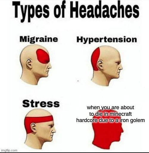 when your ganna die due to a iron golem in minecraft | when you are about to die in minecraft hardcore due to a iron golem | image tagged in types of headaches meme | made w/ Imgflip meme maker