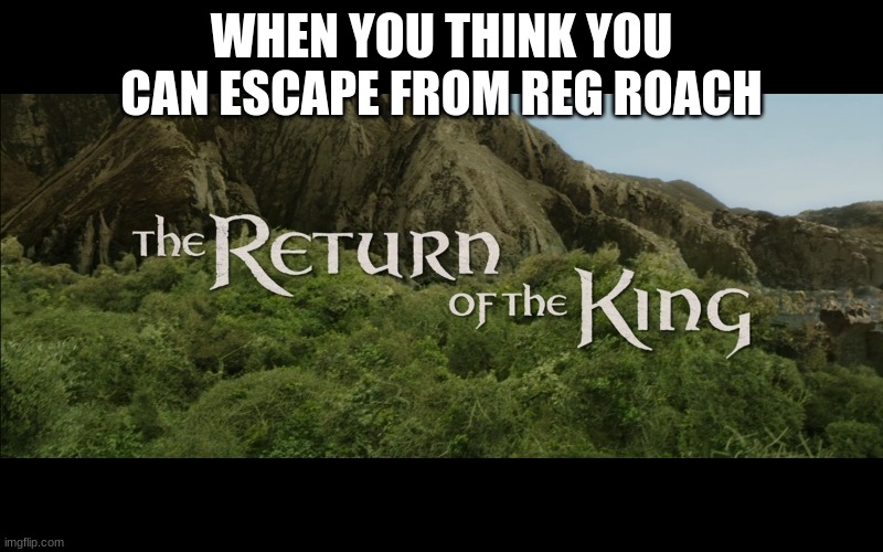 Escape from Reg Roach | WHEN YOU THINK YOU CAN ESCAPE FROM REG ROACH | image tagged in return of the king | made w/ Imgflip meme maker