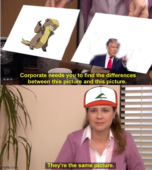 They're The Same Picture Meme | image tagged in memes,they're the same picture,why did i make this | made w/ Imgflip meme maker