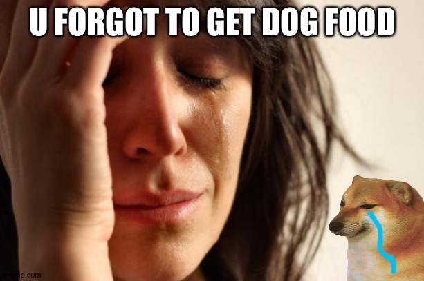 relatable? | U FORGOT TO GET DOG FOOD | image tagged in relatable | made w/ Imgflip meme maker