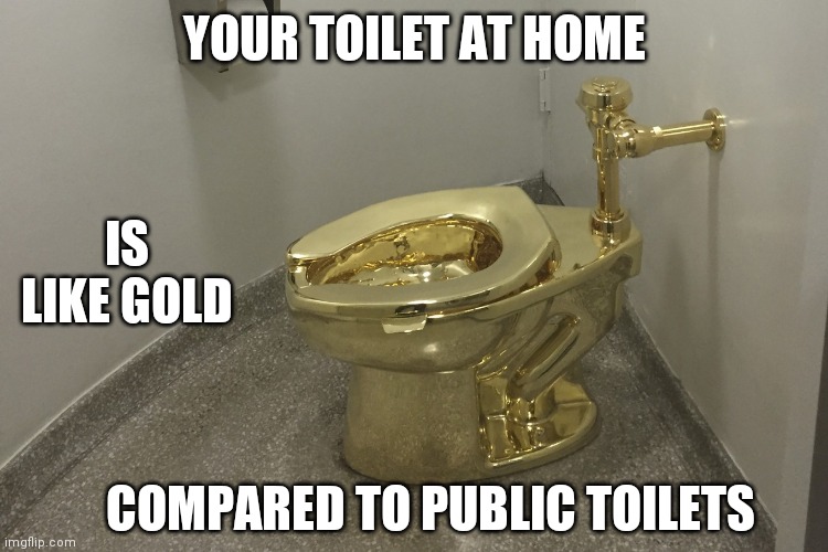 YOUR TOILET AT HOME COMPARED TO PUBLIC TOILETS IS LIKE GOLD | made w/ Imgflip meme maker